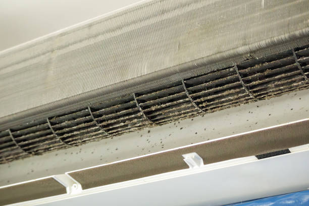 Best Home Air Vent Cleaning  in Alpine, UT